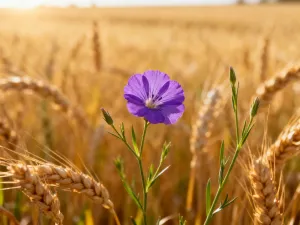 Łamliwe paznokcie – czego brakuje?
